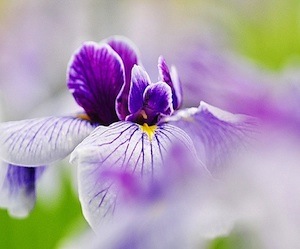 Long Term Care - We are here to help